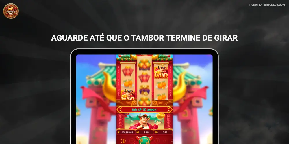 Aguarde até que o tambor termine de girar